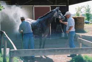 David Crandall at the Track