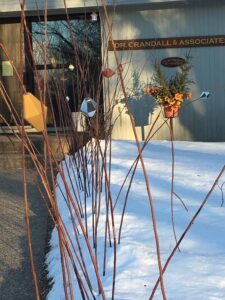 sticks in snow